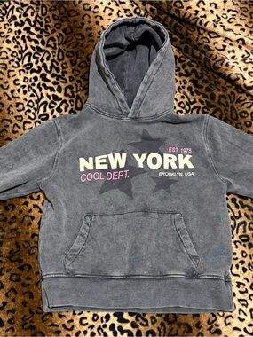 Kids Zara Gray New York Hoodie with Pink Accents
